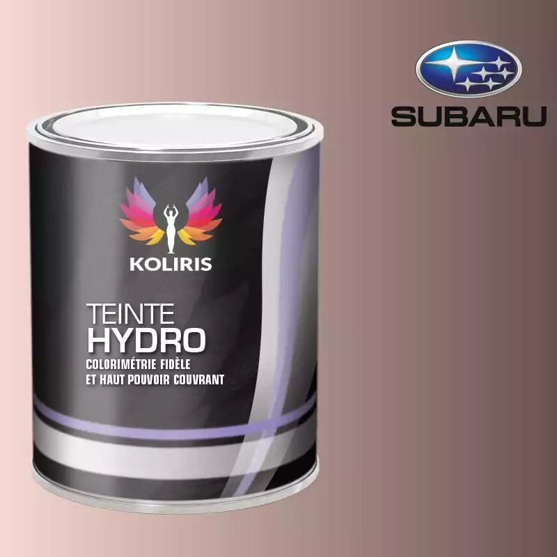 Peinture voiture hydro Subaru