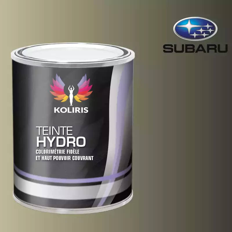 Peinture voiture hydro Subaru