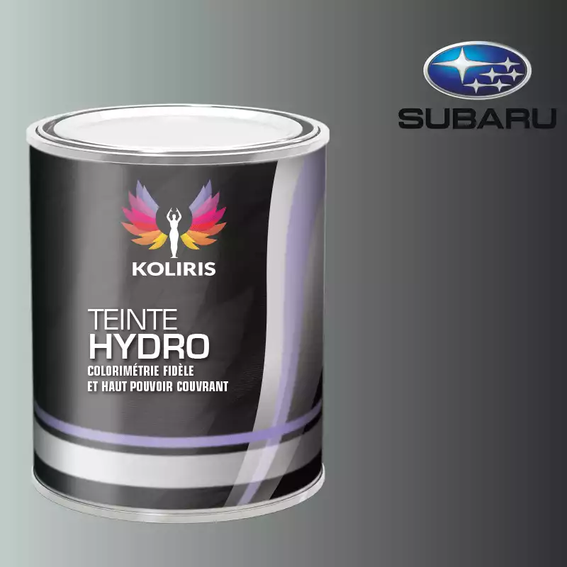 Peinture voiture hydro Subaru