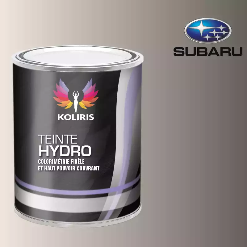 Peinture voiture hydro Subaru