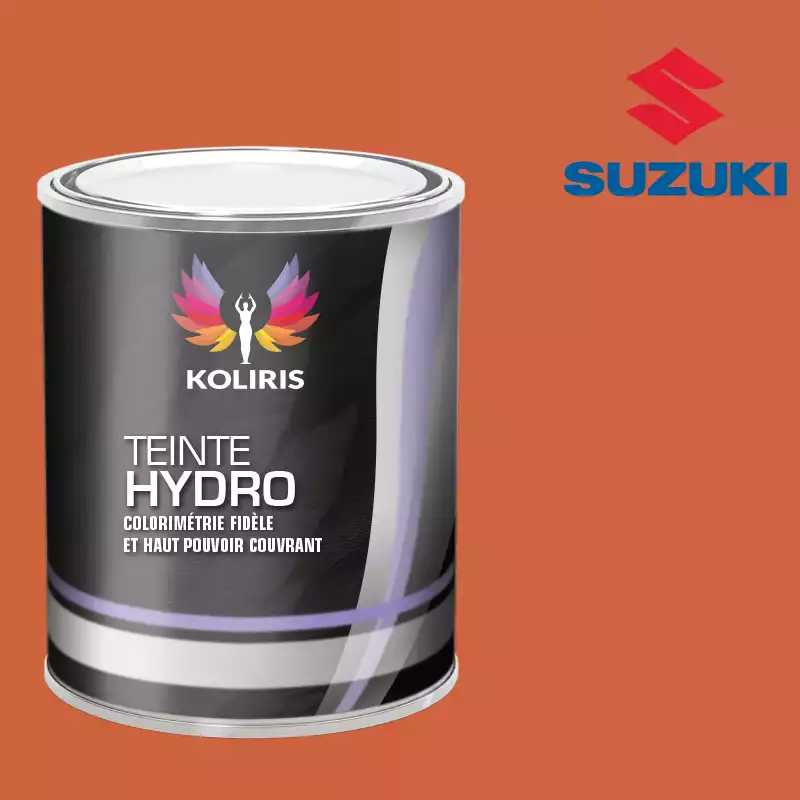 Peinture voiture hydro Suzuki