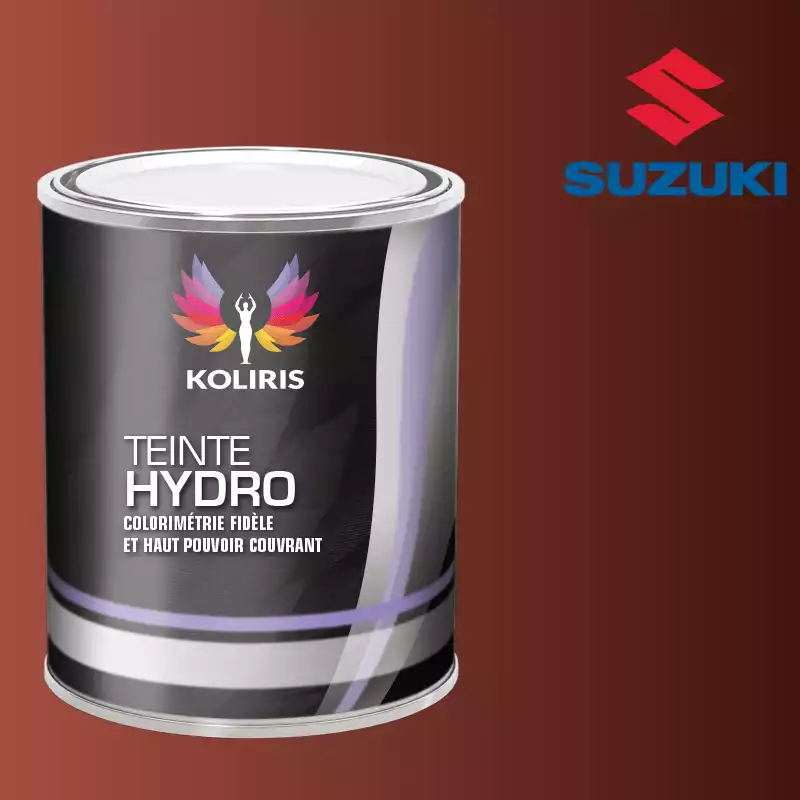 Peinture voiture hydro Suzuki