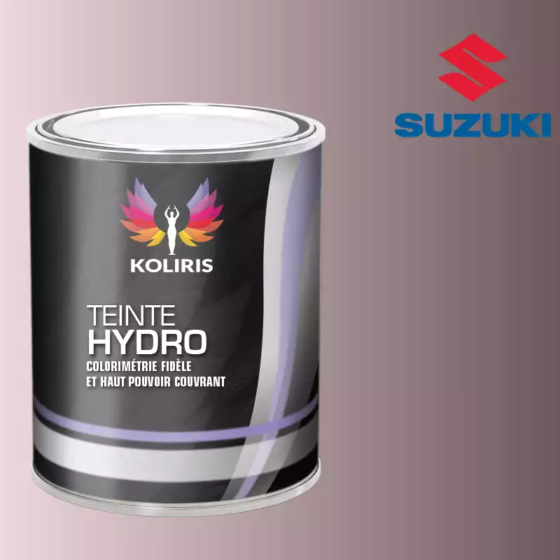 Peinture voiture hydro Suzuki