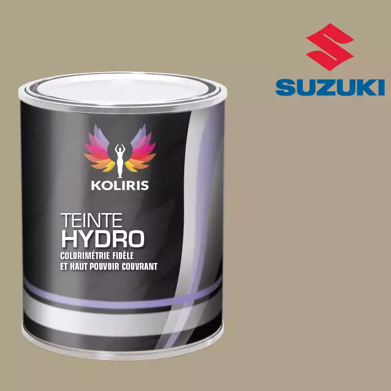 Peinture voiture hydro Suzuki