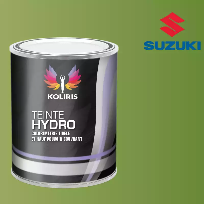 Peinture voiture hydro Suzuki