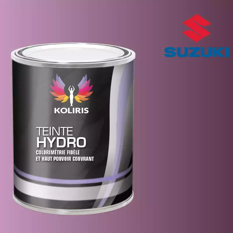 Peinture voiture hydro Suzuki