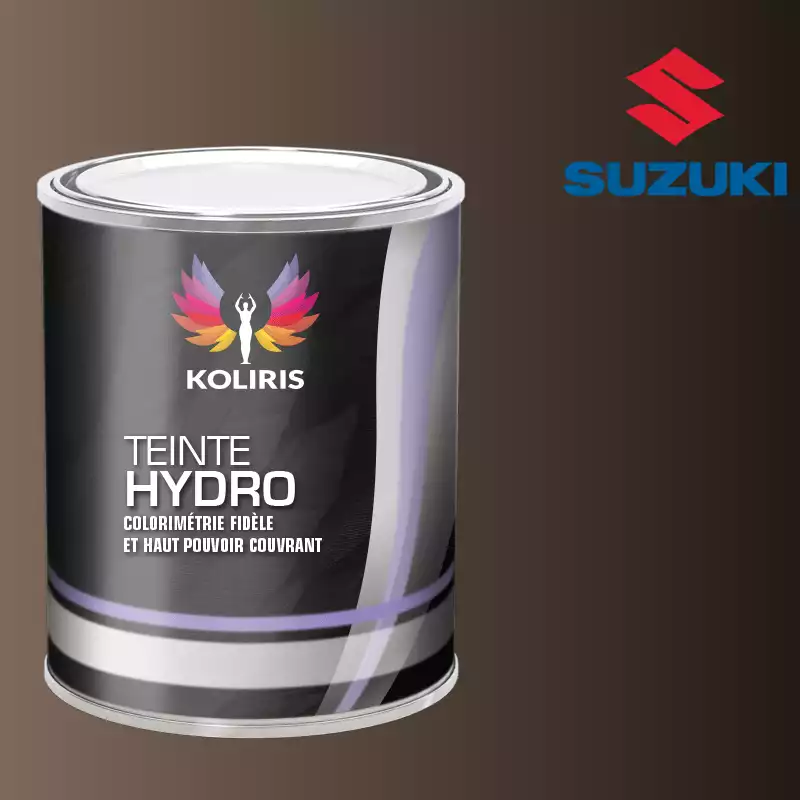 Peinture voiture hydro Suzuki