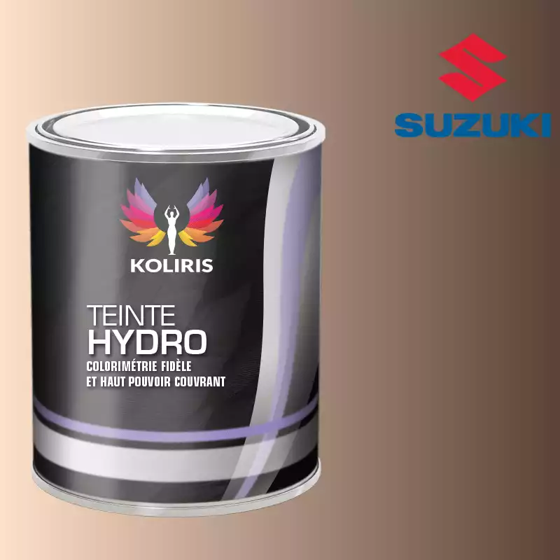 Peinture voiture hydro Suzuki