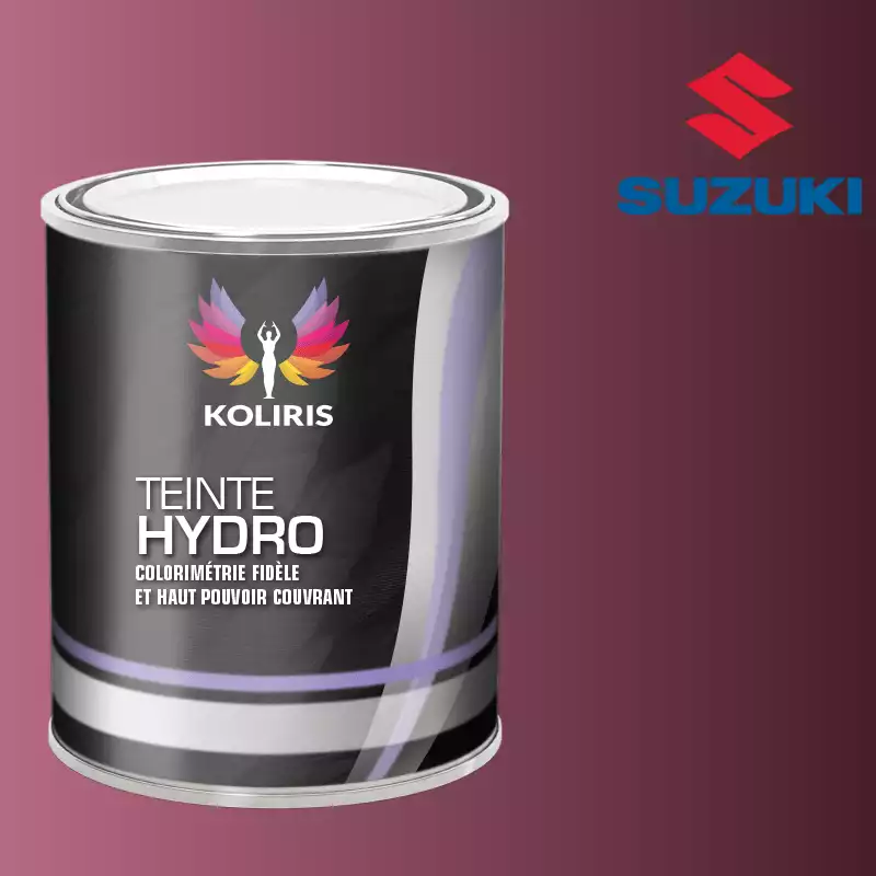 Peinture voiture hydro Suzuki