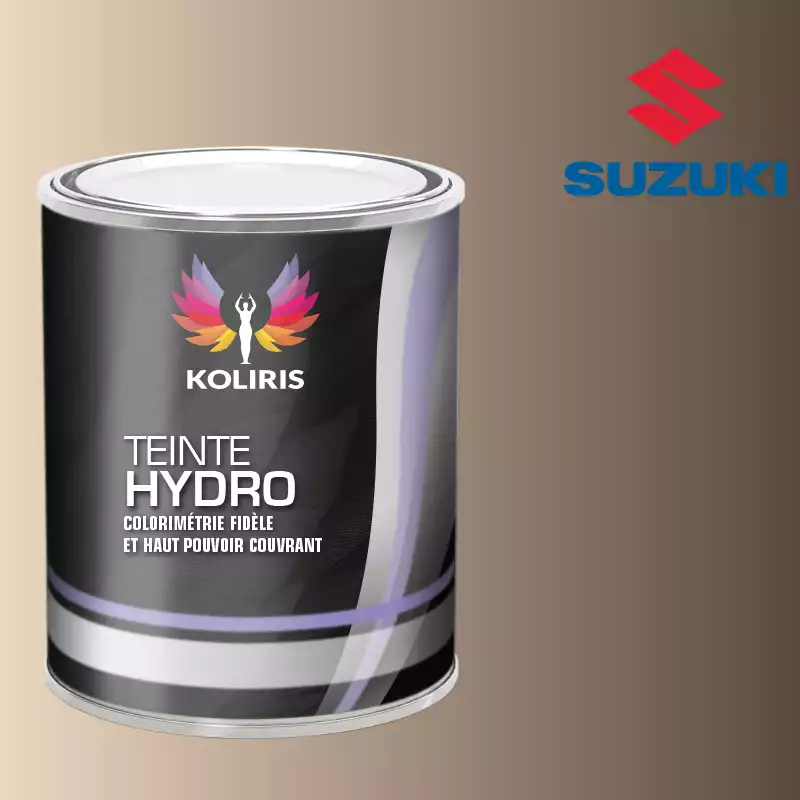 Peinture voiture hydro Suzuki