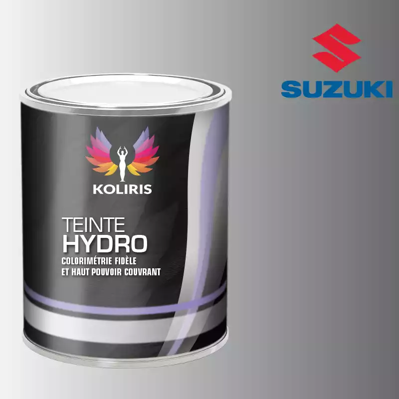 Peinture voiture hydro Suzuki