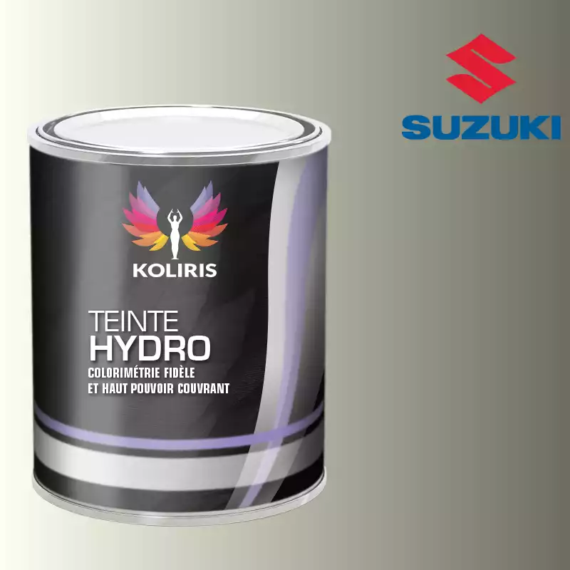 Peinture voiture hydro Suzuki