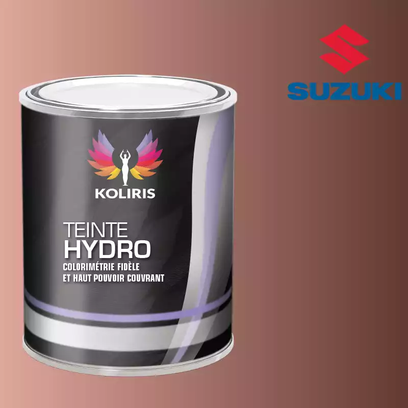 Peinture voiture hydro Suzuki