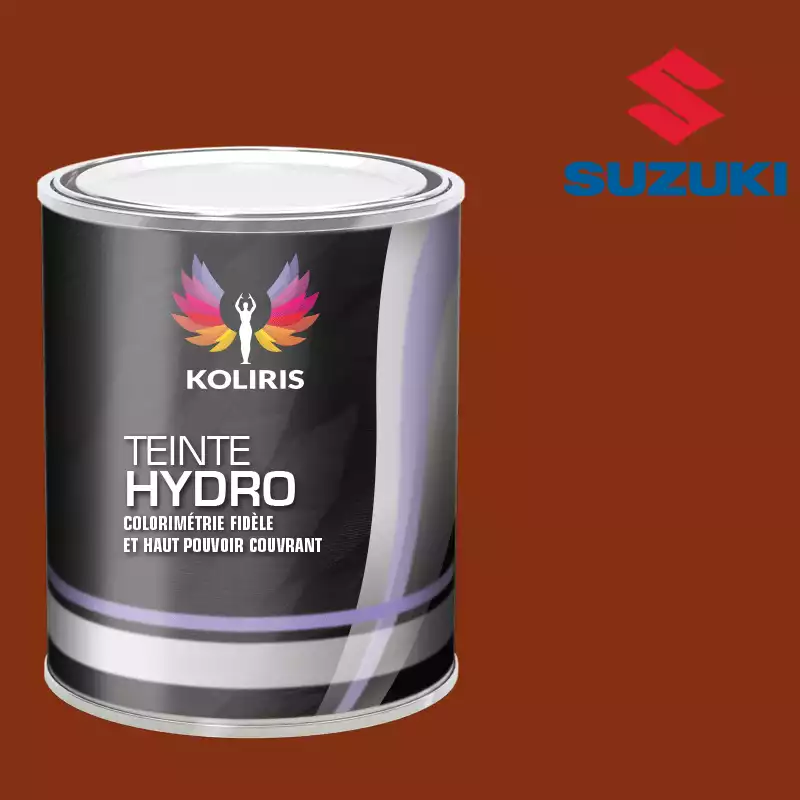 Peinture voiture hydro Suzuki