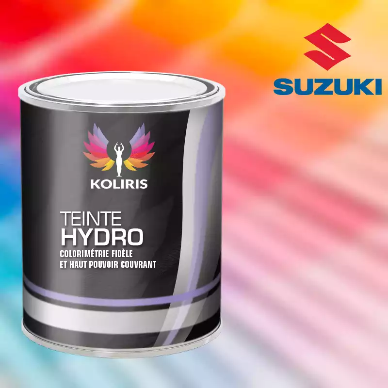 Peinture voiture hydro Suzuki