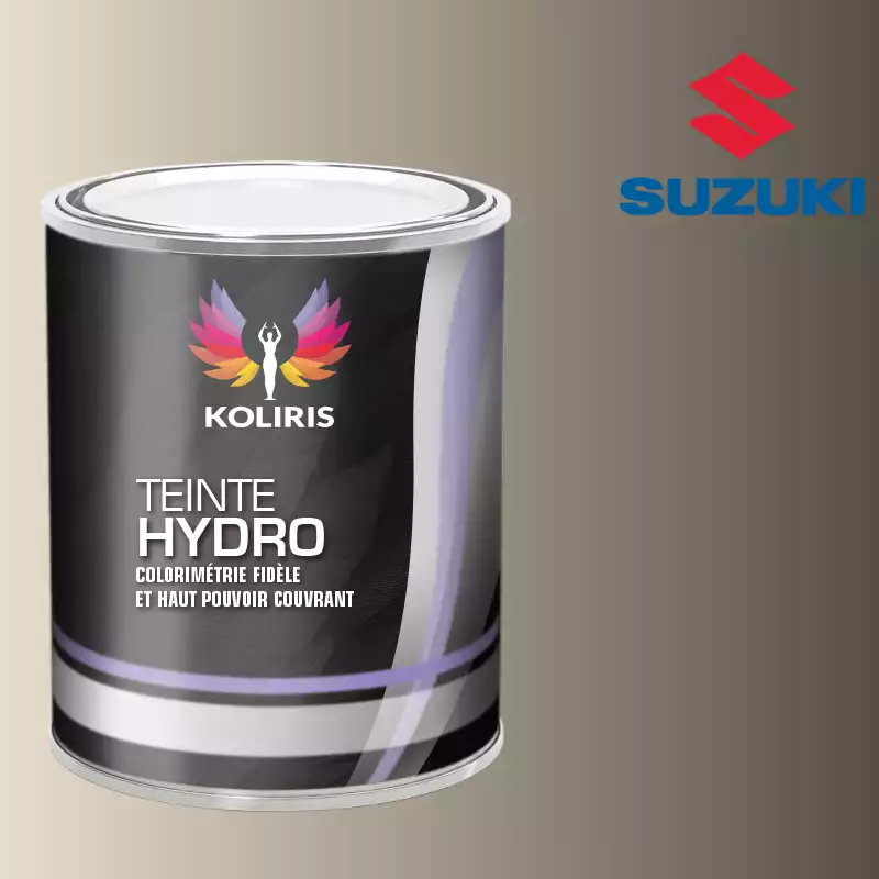 Peinture voiture hydro Suzuki