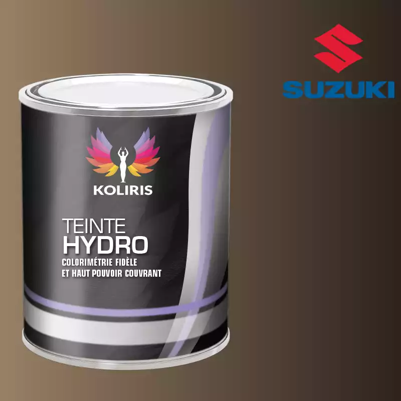 Peinture voiture hydro Suzuki