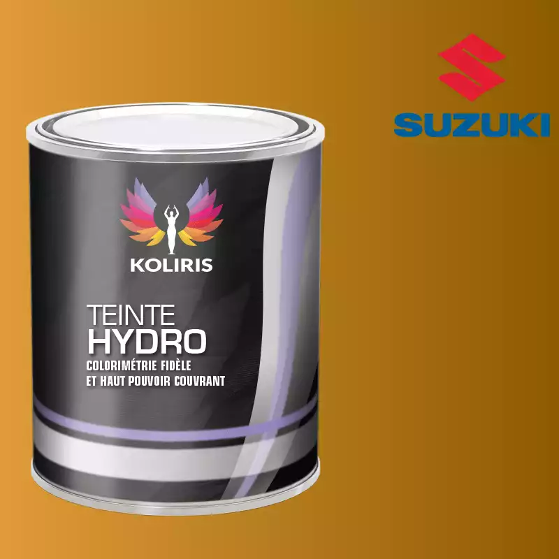 Peinture voiture hydro Suzuki