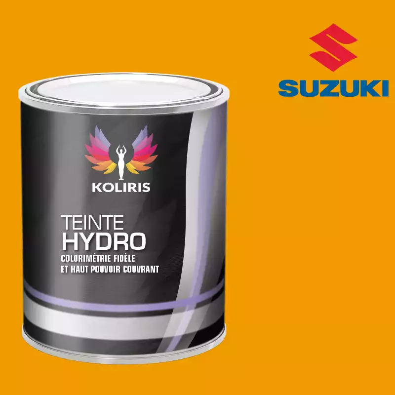 Peinture voiture hydro Suzuki