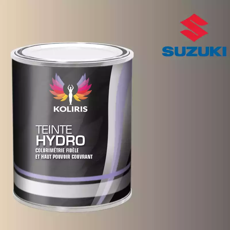 Peinture voiture hydro Suzuki