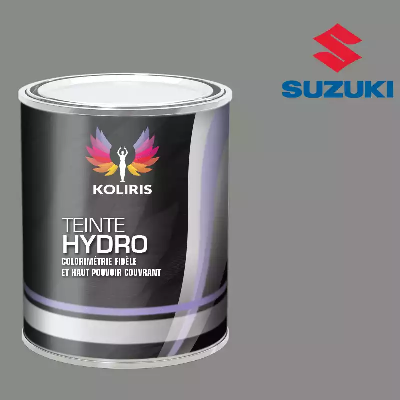 Peinture voiture hydro Suzuki