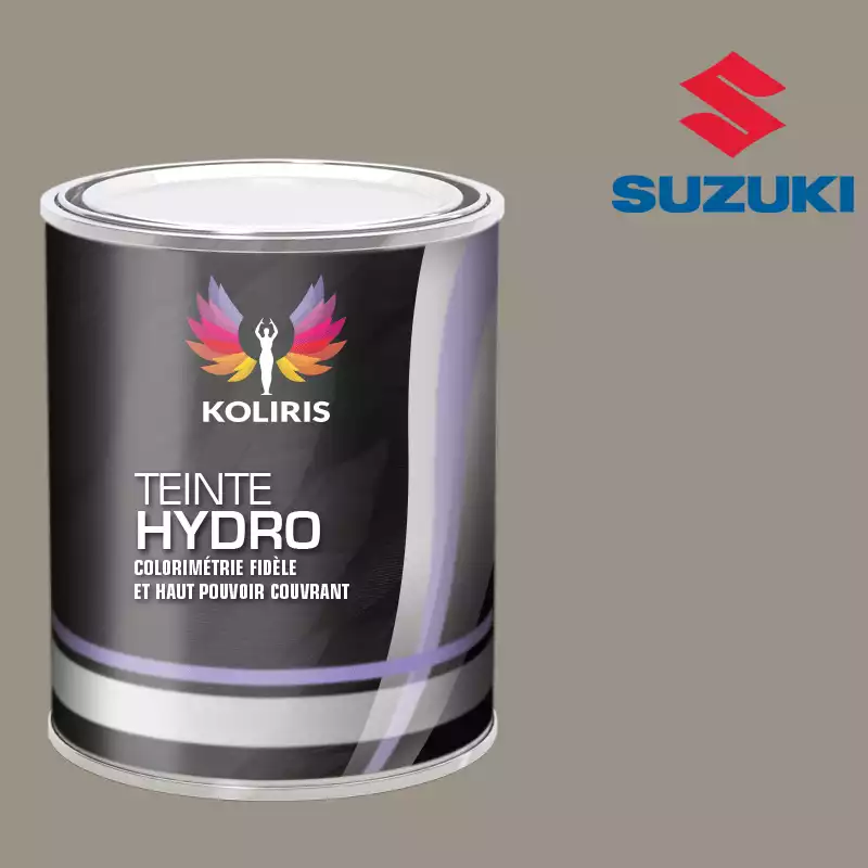 Peinture voiture hydro Suzuki