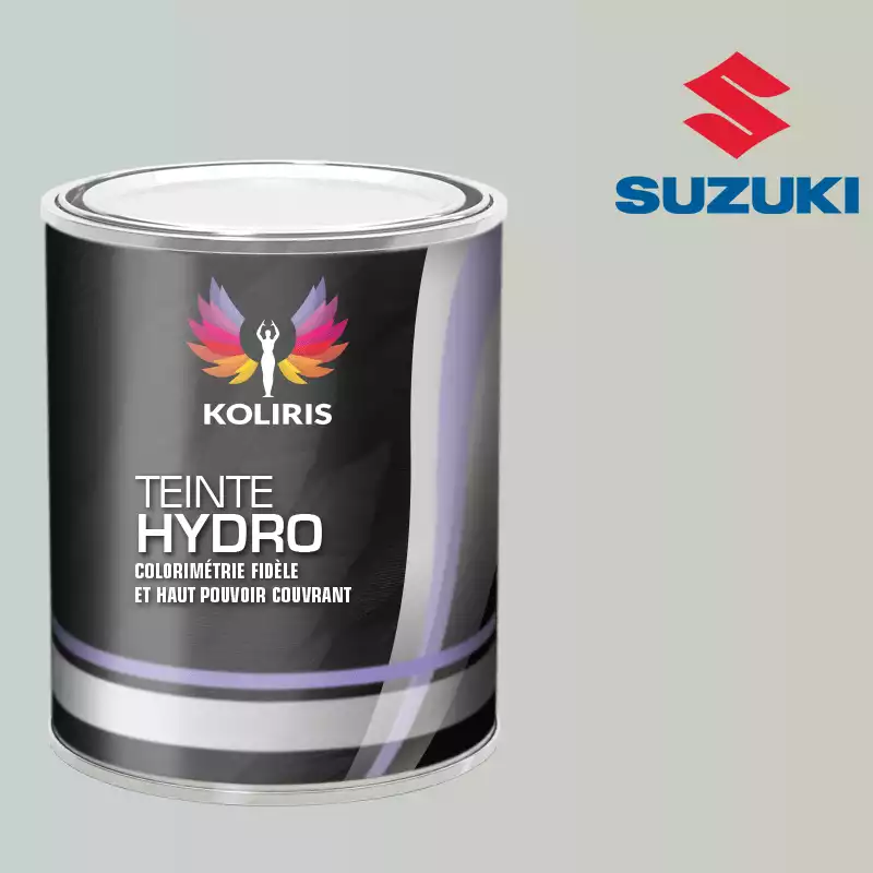 Peinture voiture hydro Suzuki