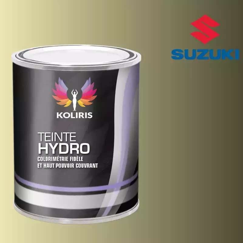 Peinture voiture hydro Suzuki