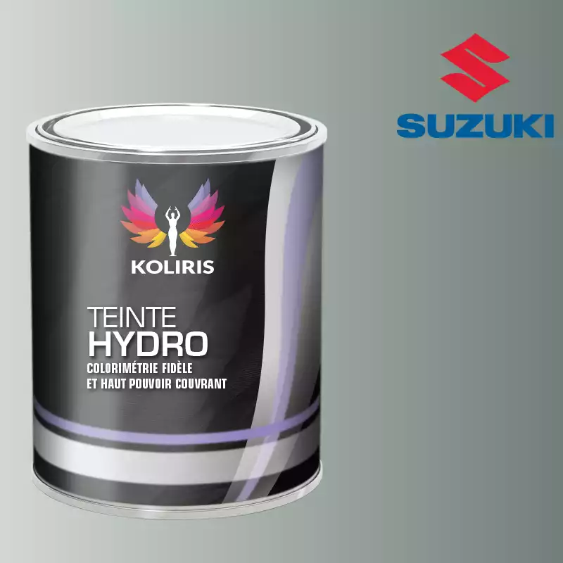 Peinture voiture hydro Suzuki