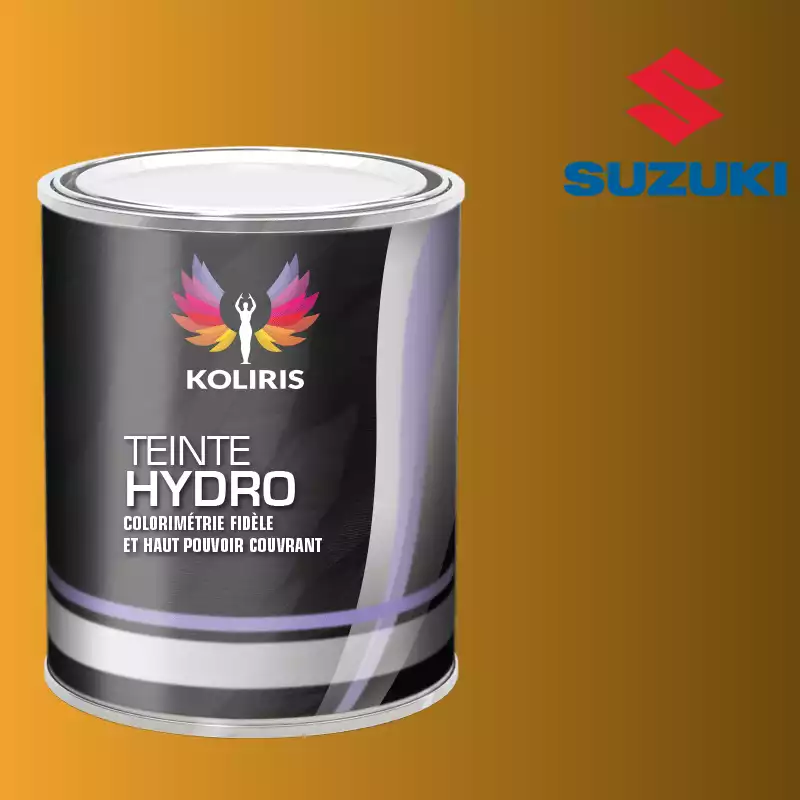 Peinture voiture hydro Suzuki