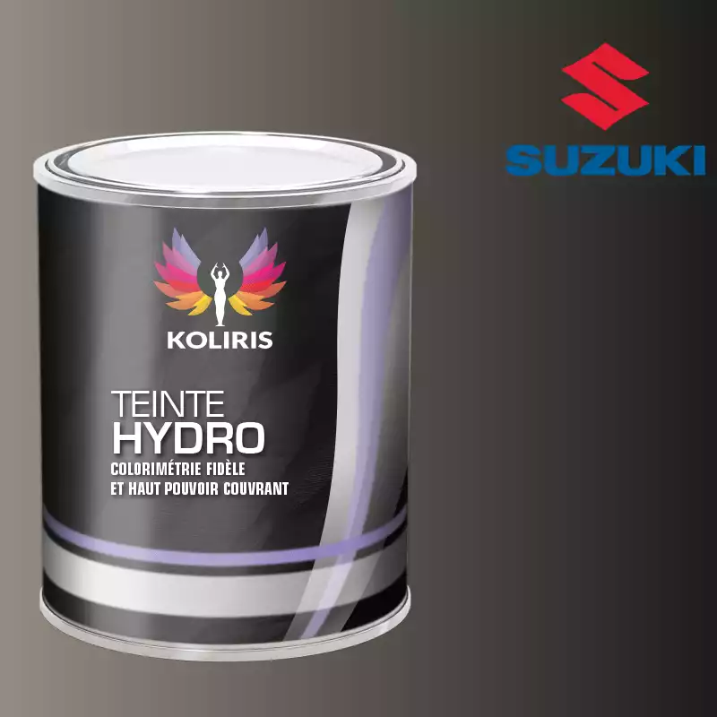 Peinture voiture hydro Suzuki