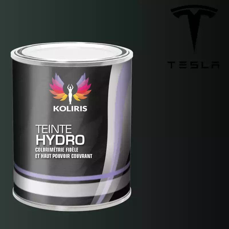 Peinture voiture hydro Tesla