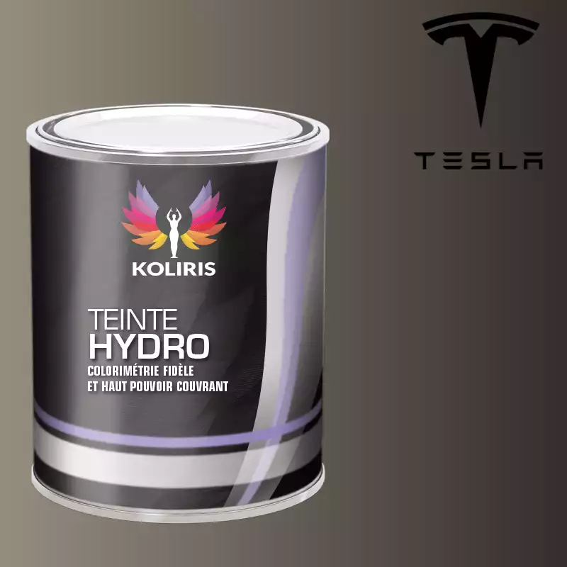 Peinture voiture hydro Tesla