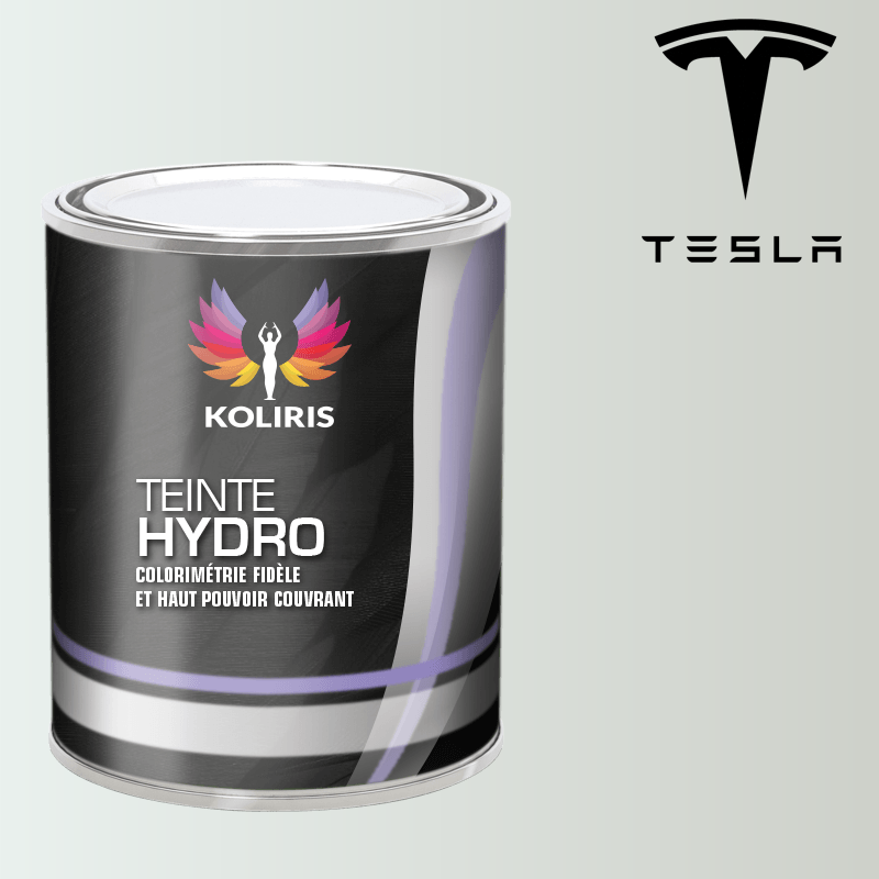 Peinture voiture hydro Tesla