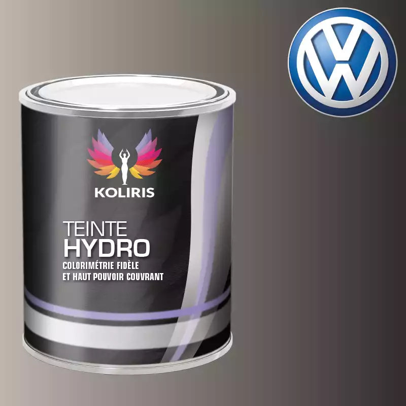 Peinture voiture hydro Volkswagen