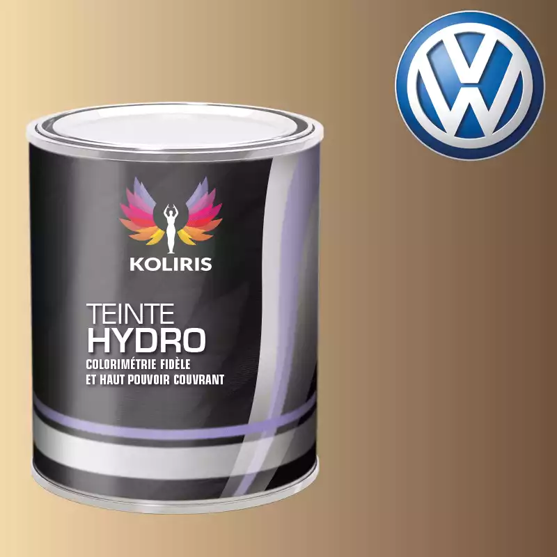 Peinture voiture hydro Volkswagen