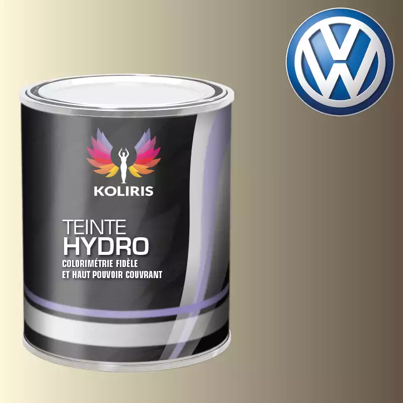 Peinture voiture hydro Volkswagen