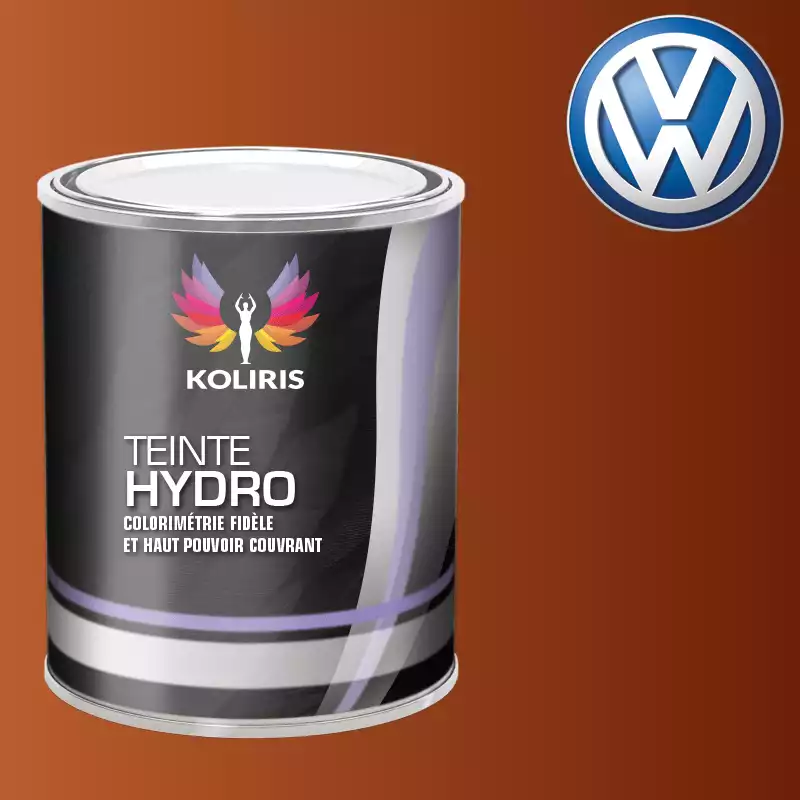 Peinture voiture hydro Volkswagen