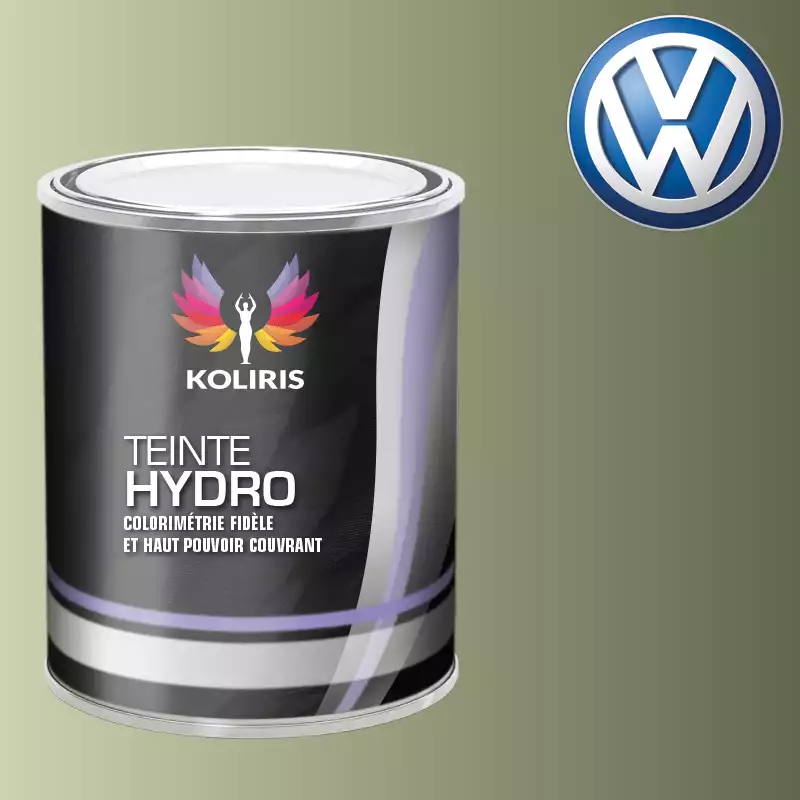 Peinture voiture hydro Volkswagen