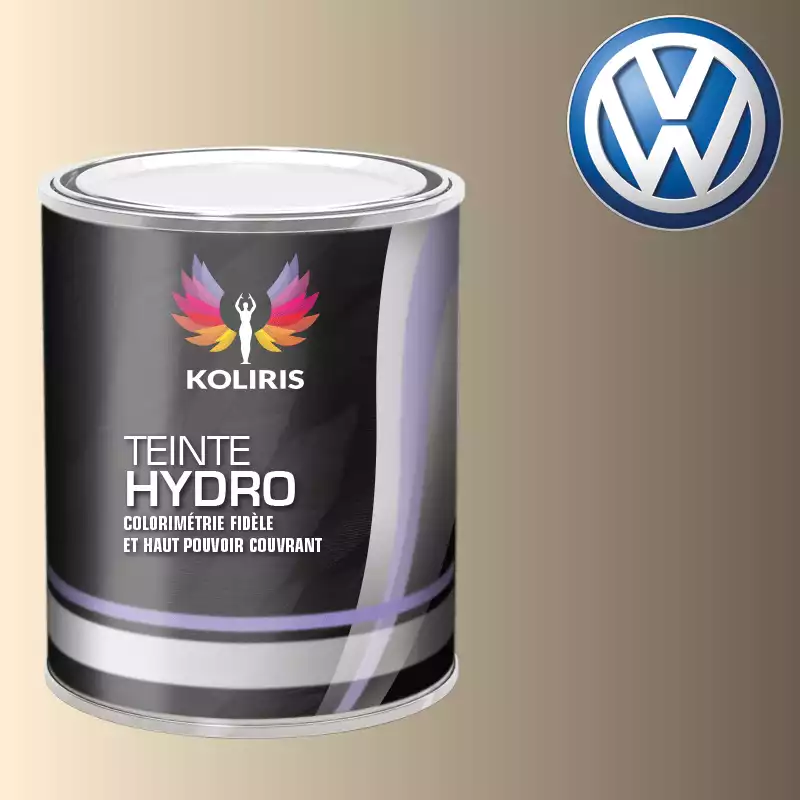 Peinture voiture hydro Volkswagen