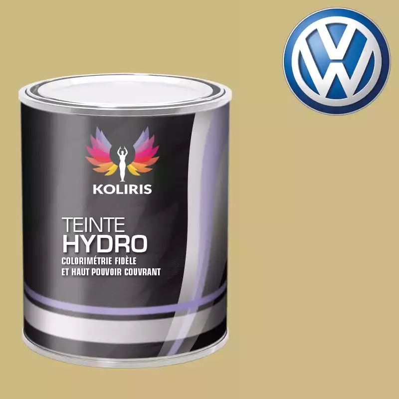 Peinture voiture hydro Volkswagen