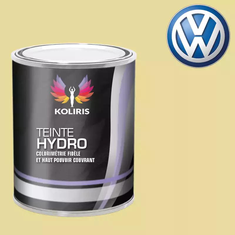 Peinture voiture hydro Volkswagen