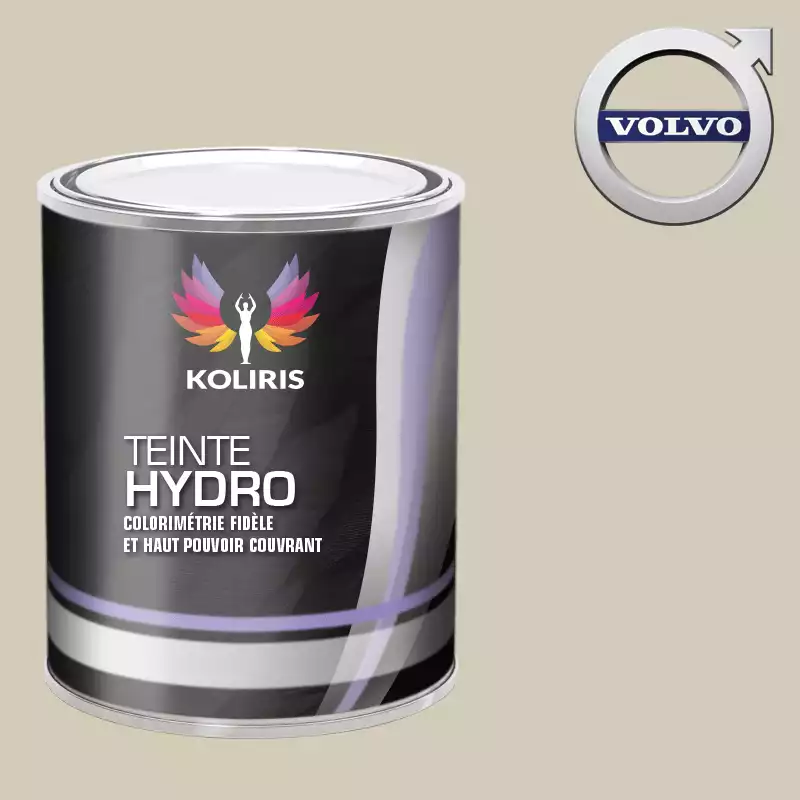 Peinture voiture hydro Volvo