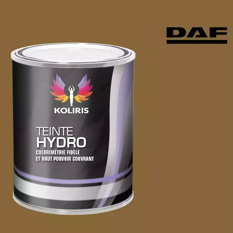 Peinture utilitaire - camion hydro Daf