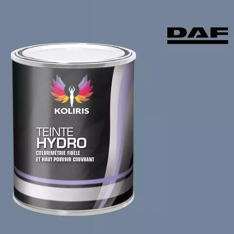 Peinture utilitaire - camion hydro Daf