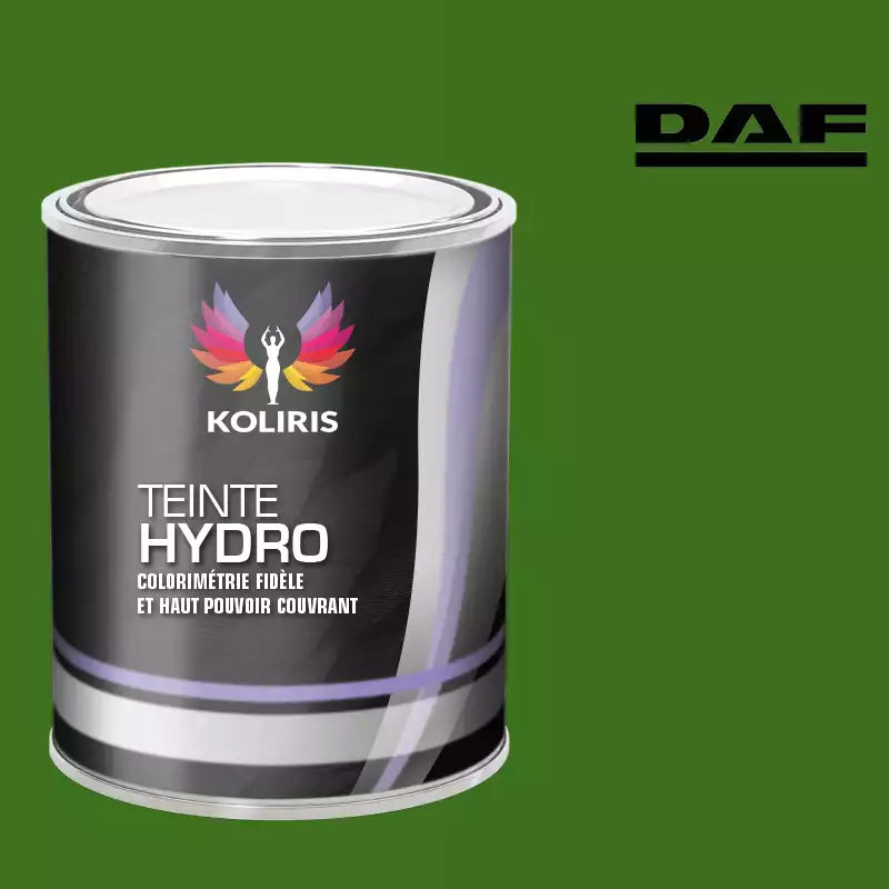 Peinture utilitaire - camion hydro Daf