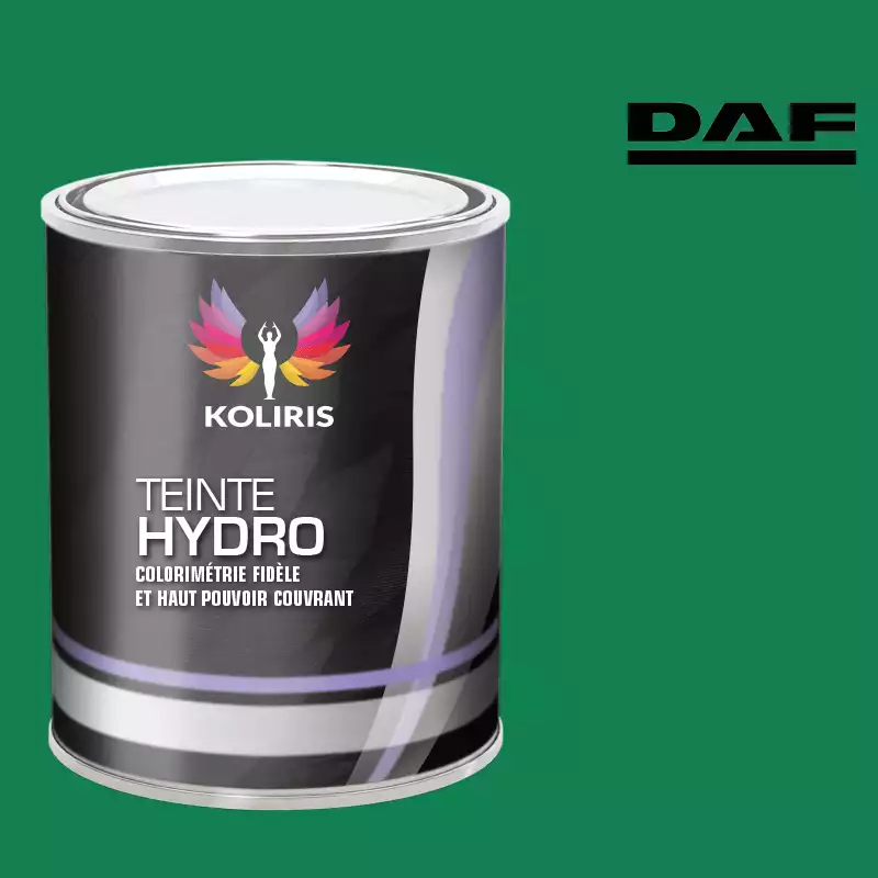 Peinture utilitaire - camion hydro Daf