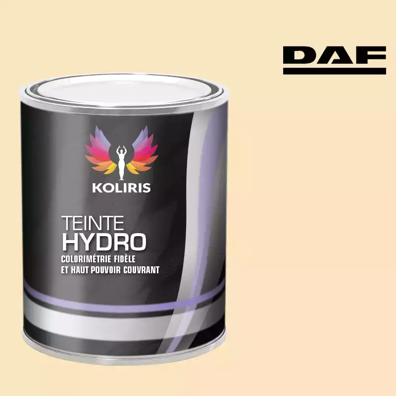 Peinture utilitaire - camion hydro Daf