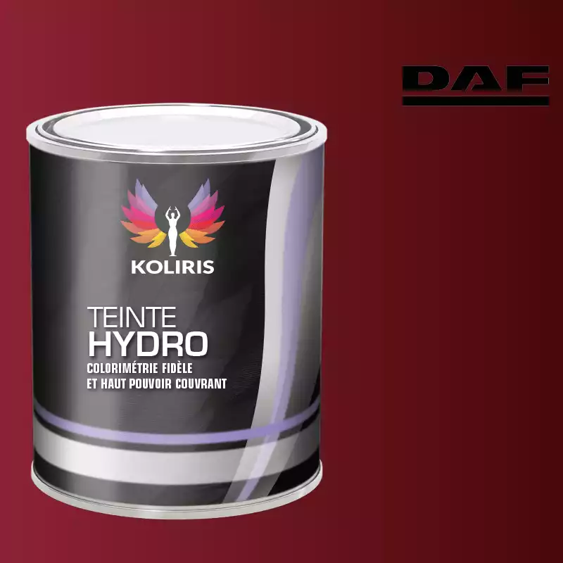 Peinture utilitaire - camion hydro Daf