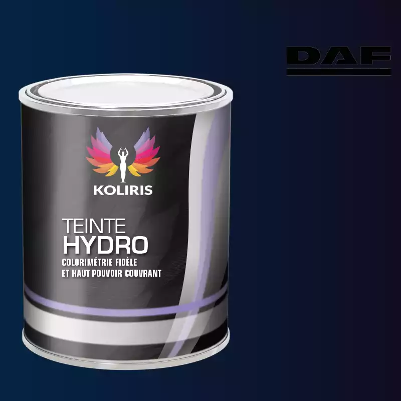 Peinture utilitaire - camion hydro Daf